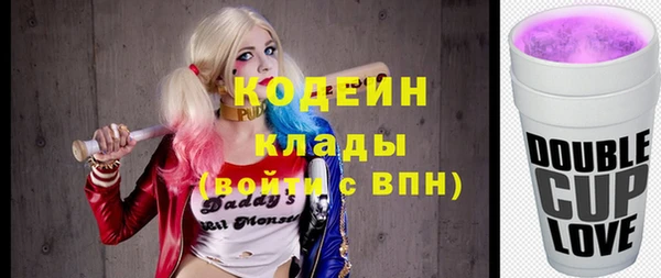 гашик Михайлов