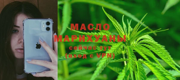 гашик Михайлов
