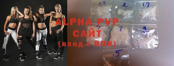 гашик Михайлов