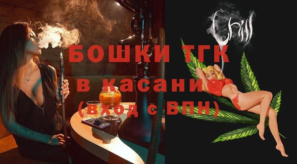 гашик Михайлов