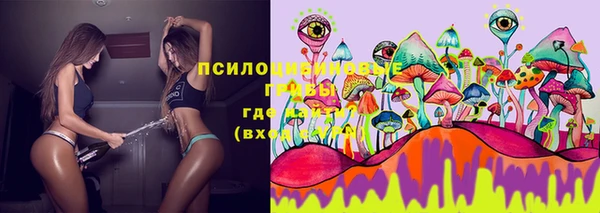 гашик Михайлов