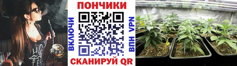 Шишки марихуана план  где можно купить   Назрань 